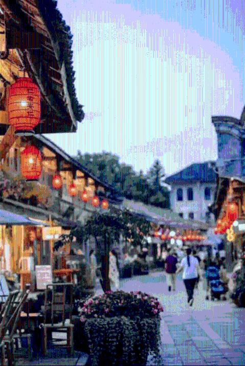 中加枫华国际学校中澳人文交流活动暨2024新年音乐会!与世界同龄人共舞